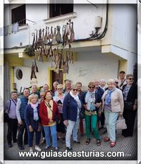 Curadillo en Cudillero